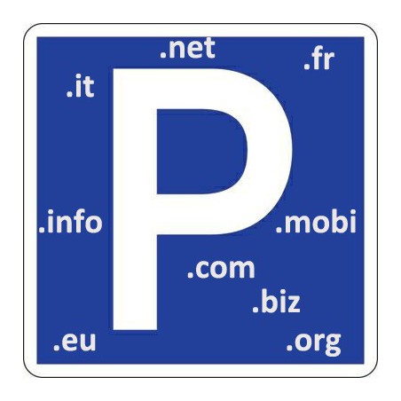 Parking a domain name - redirect - DNS management
